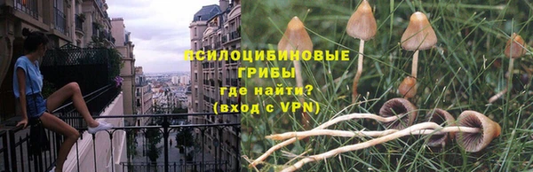гашиш Заволжск