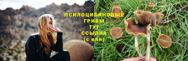 гашиш Заволжск