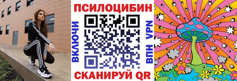 Псилоцибиновые грибы мухоморы mega маркетплейс это состав Звенигород