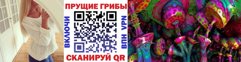 Галлюциногенные грибы Cubensis Звенигород